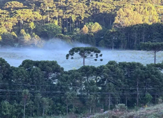 Serra de SC registra 3°C durante a madrugada desta sexta-feira (imagem ilustrativa)