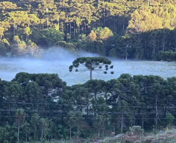 Serra de SC registra 3°C durante a madrugada desta sexta-feira (imagem ilustrativa)