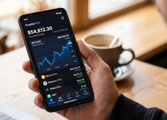 Como declarar criptomoedas e investimentos em carteiras digitais no Imposto de Renda.