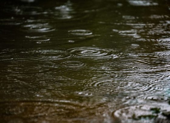 Em Santa Catarina, 24 municípios registram mais de 100 mm de chuva em apenas um dia