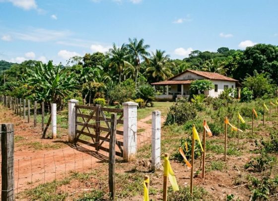 Casal compra sítio acreditando ter determinada área, instala cercas e estruturas e no limite do terreno e descobre divergência na divisa da propriedade