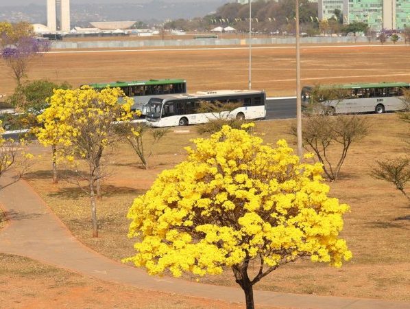 Centro-Oeste tem três alertas ativos para chuvas e baixa umidade