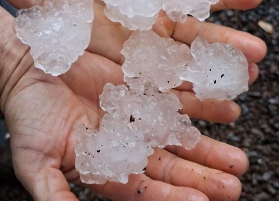 Chuva intensa com granizo causa danos em 23 municípios de Santa Catarina e cinco decretam situação de emergência