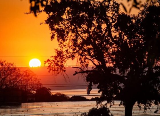 Clima: El Niño e veranico trazem calorão e interrompem chuvas nesta 5ª