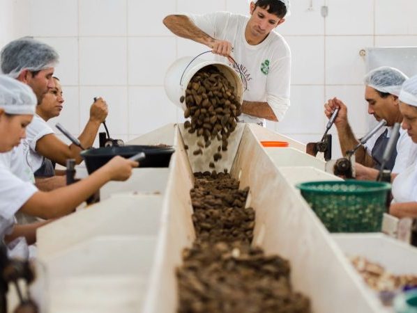 Consulta sobre bens sustentáveis no acordo Mercosul–UE acaba na quarta