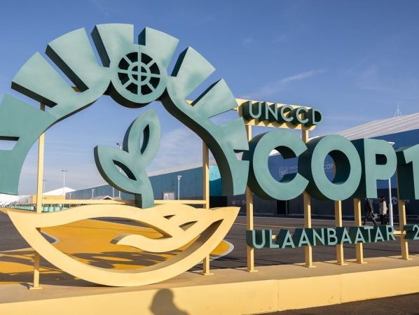 Estados do Nordeste tentam atrair investimentos para Caatinga na COP17