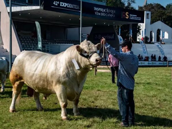 Expointer 2026 tem 5.756 animais de argola inscritos no Rio Grande do Sul