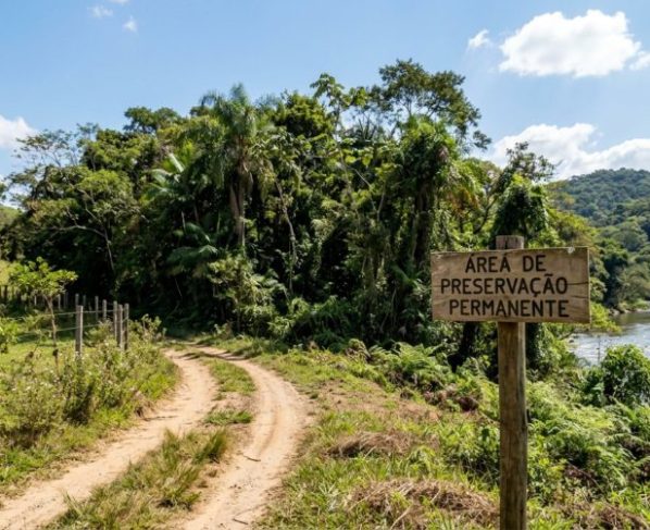 Família compra sítio com estrada de terra terminando antes do rio, abre um novo acesso pela vegetação e descobre que ser dono da área não elimina as regras de intervenção ambiental