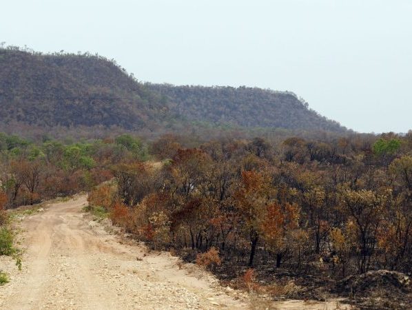Mapbiomas: menor vegetação nativa expõe mais o país ao El Niño