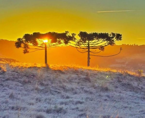 Massa de ar polar causa temperaturas negativas e geadas no RS e em SC