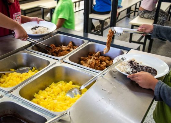 Merenda de Curitiba cumpre 1 de 10 regras nutricionais