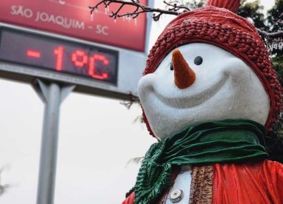 MetSul prevê sequência de dias gelados e temperaturas de até -5°C no Sul