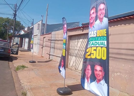 MPF dá parecer para proibir imagem de Jair Bolsonaro em material de campanha em São Paulo