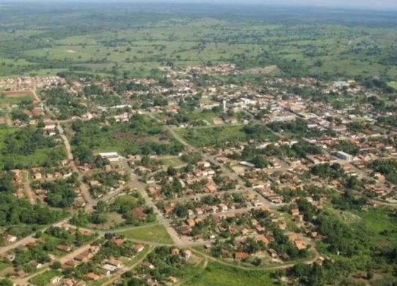 Mulher morre após cair de trator e ser atropelada pelo próprio veículo