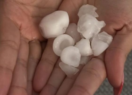 ‘Pedras do tamanho de um limão’: chuva de granizo assusta moradores da Grande Florianópolis