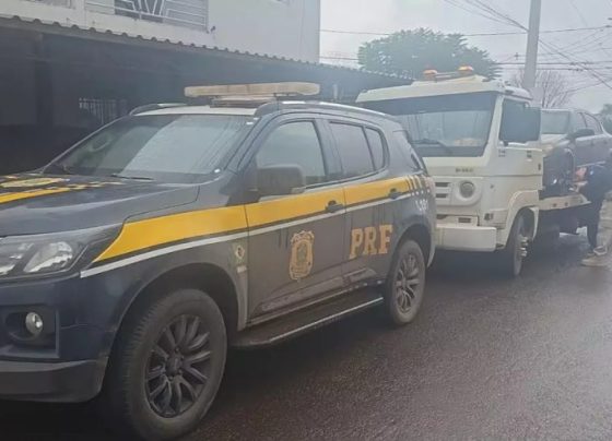 Polícia apreende mais de 120 quilos de maconha em Frederico Westphalen