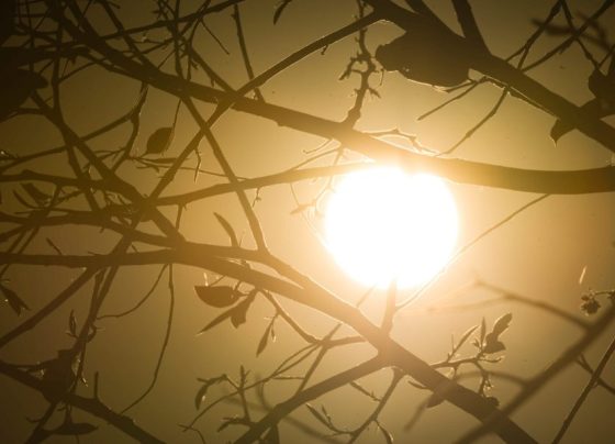 Previsão de 43°C faz Cuiabá levar desfile de 7 de Setembro para a noite