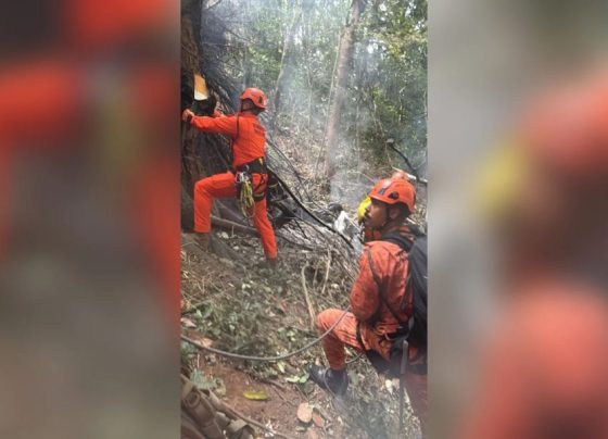 Saiba quem são as 4 vítimas de queda de helicóptero no Rio de Janeiro