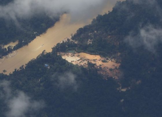 STF dá 2 anos para Congresso regulamentar mineração em terra indígena