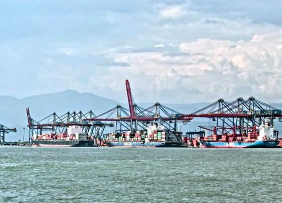 Tarifaço: exportações do Brasil aos Estados Unidos caem 12,2% no ano
