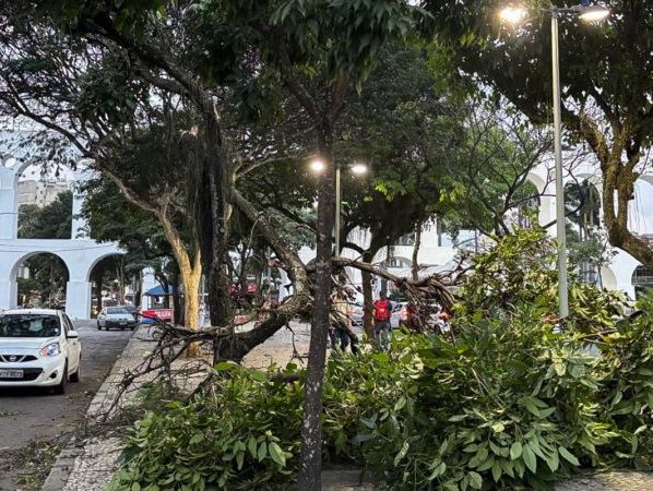 Ventania: moradores do Rio acordam sob alerta; saiba o que fazer