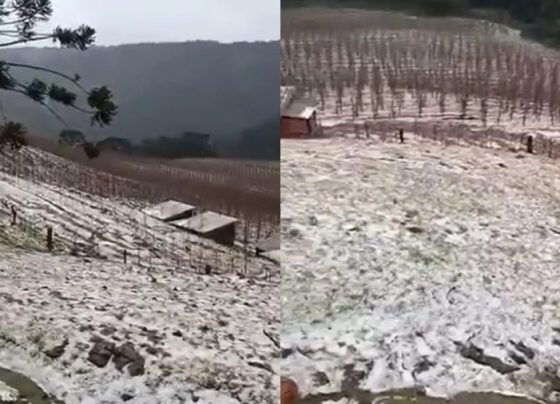 VÍDEO: Parece neve, mas não é: tempestade de granizo transforma cidade de SC