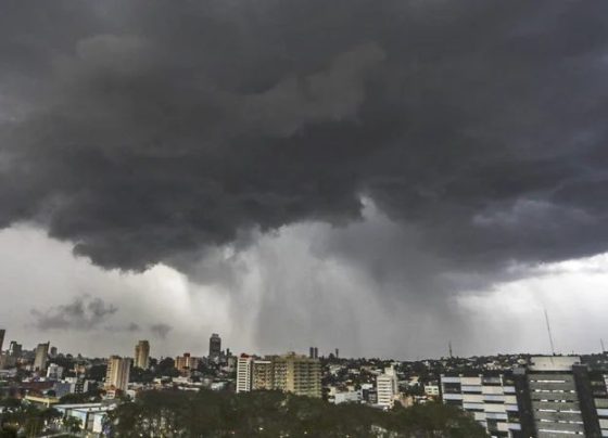 Chuvarada provoca quedas de árvores, alagamentos e prejudica o trânsito em Curitiba