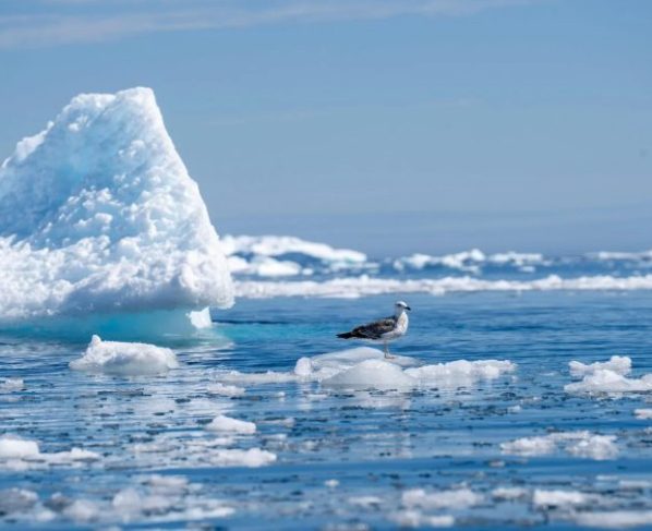 El Niño está mais forte ou o planeta está mais quente? Entenda