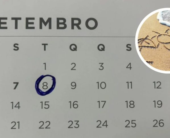 Feriado de 8 de setembro: veja quem trabalha e quem tem direito à folga