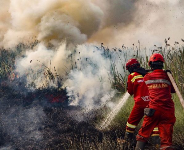 Indonésia: incêndios florestais ameaçam liberar "bombas" de carbono