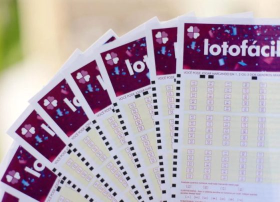 Quais são os números da Lotofácil 3777? Confira o resultado de hoje (01/09)
