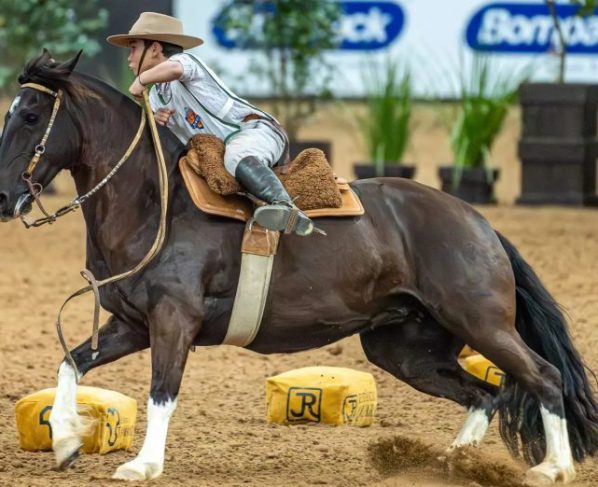 Supercopa Jovem celebra futuro da raça nas pistas do Cavalo Crioulo