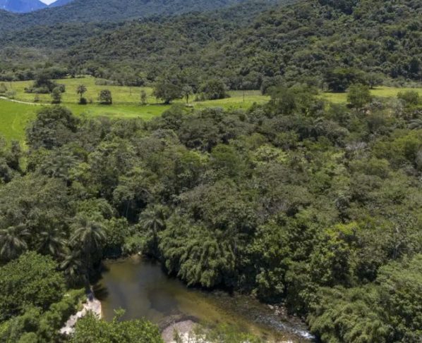 Brasil diminui em 43% área de vegetação nativa fragmentada