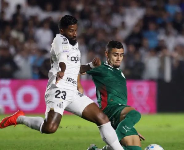Brasileirão: Palmeiras fica no zero com o Santos e Flamengo agradece