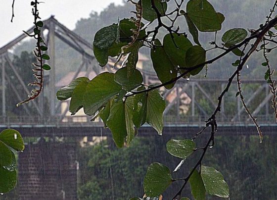 Céu encoberto e chuva: veja a previsão do tempo para Blumenau nesta quinta (22)