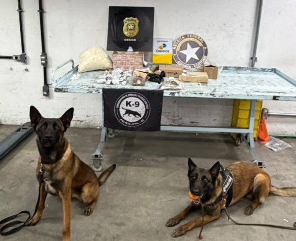 Com atuação de cães farejadores, operação da Polícia Civil apreende drogas e contrabando nas divisas de Santa Catarina