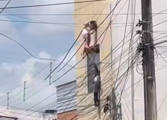 Criança fica presa em fiação após cair do 2º andar de prédio em Alagoas