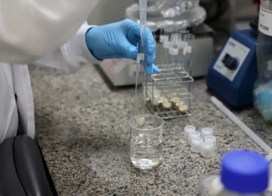 Doença de Newcastle: protocolos sanitários são cumpridos em SC