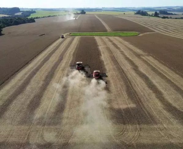 Governo gaúcho seleciona negócios inovadores do agronegócio para capacitação internacional