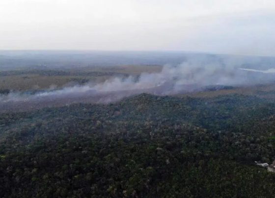 Governo intensifica reforços para combater incêndios no Pará