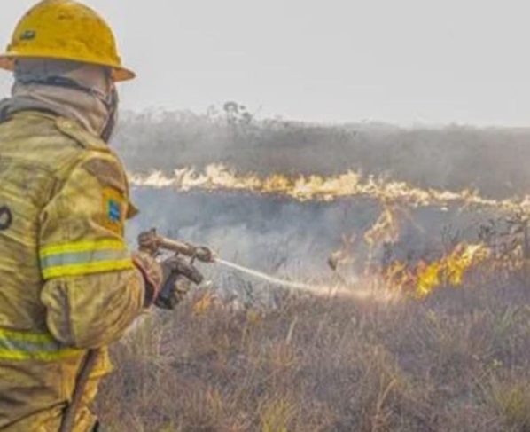 Governo investiga se há organização por trás dos incêndios no Amazonas