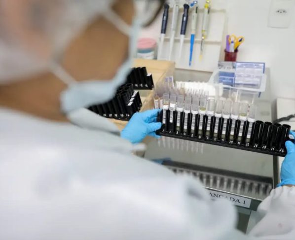 Malária: Anvisa autoriza teste em humanos de vacina 100% brasileira