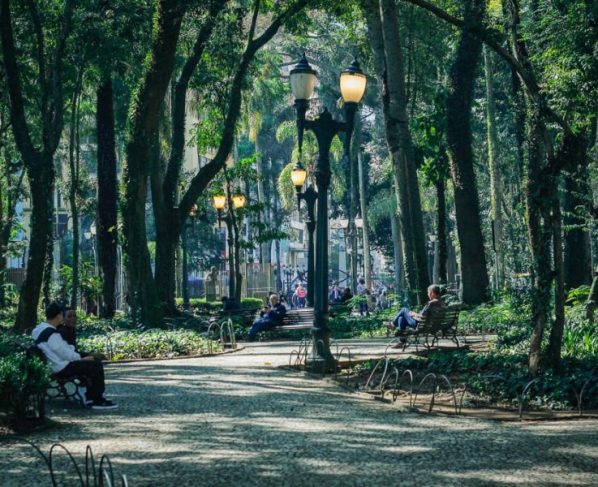 Prefeitura fecha Praça Osório após terceira queda de galho sobre pedestres em 2026