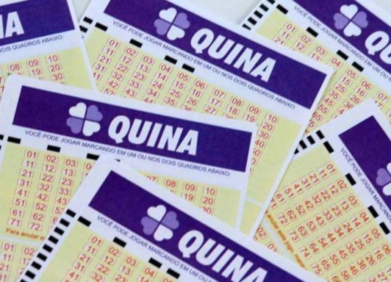 Quais são os números da Quina 7151? Confira o resultado de hoje (24/10)