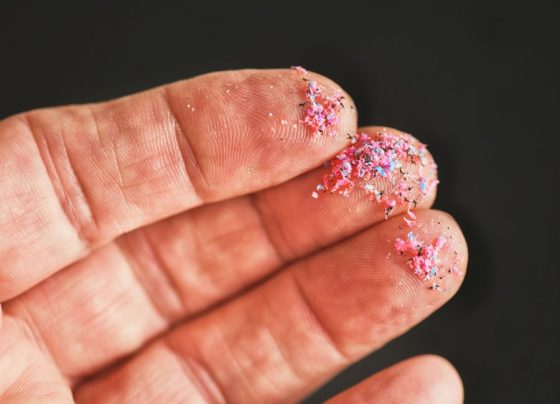 Tecidos sintéticos têm sido evitados por consumidores preocupados com saúde