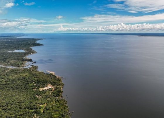 Veja os planos de governo de Flávio e Lula para meio ambiente e clima